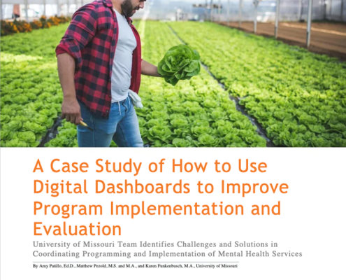 A Case Study of How to Use Digital Dashboards to Improve Program Implementation and Evaluation