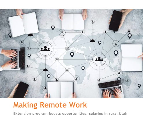 Making Remote Work