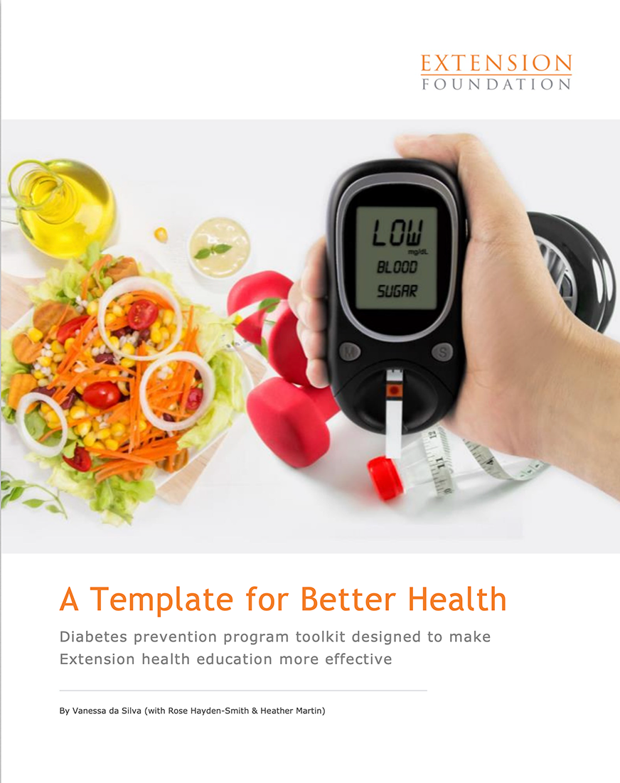 A Template for Better Health: Diabetes Prevention Program Toolkit