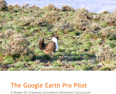 The Google Earth Pro Pilot