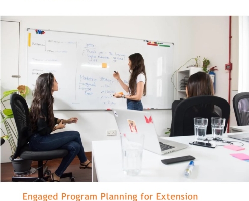 Engaged Program Planning for Extension Foundation Impact Collaborative Teams