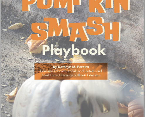 Pumpkin Smash Playbook