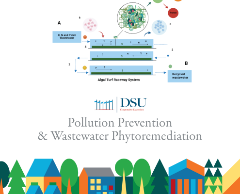 Pollution Prevention & Wastewater Phytormediation