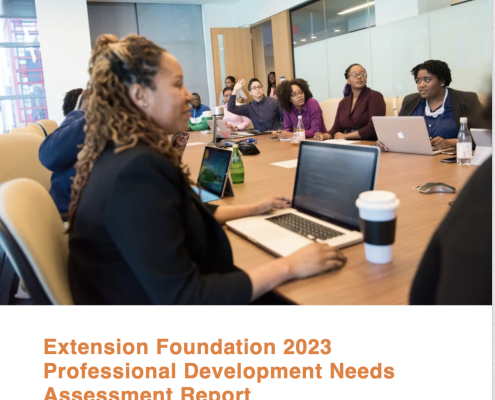 Professional Development Need Assessment Report