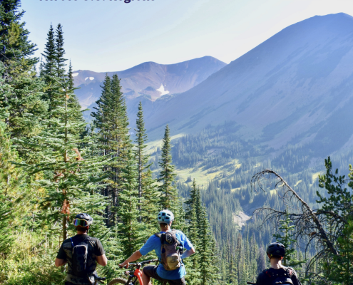 Extension Tourism: Impact and Opportunities of Land- an Sea-Grant Programming Across U.S. Regions