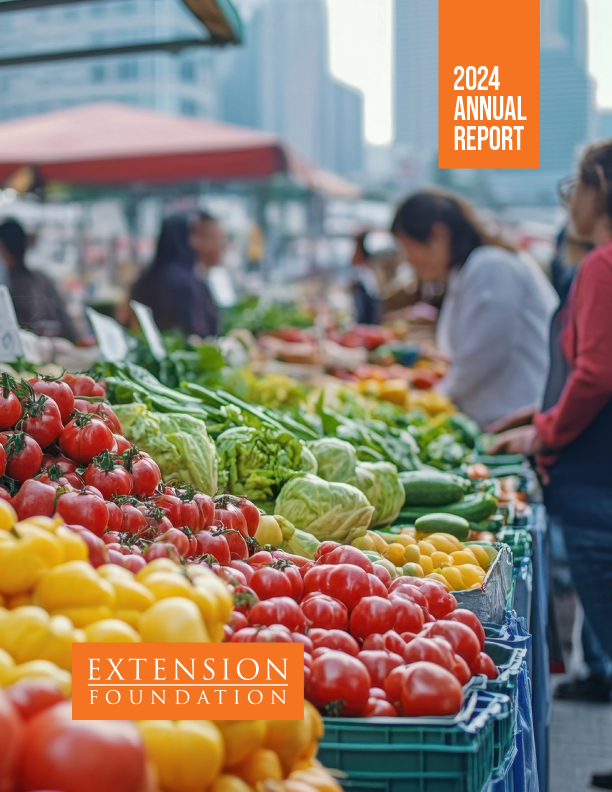 Annual Report 2024 Cover